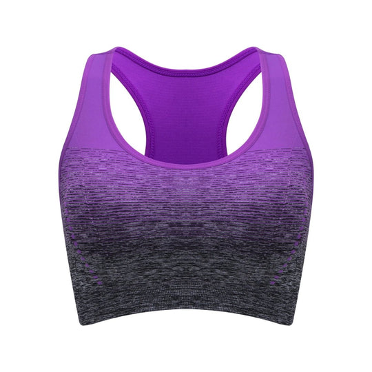 Seamless Flush Sport BH - Pulse Gym Wear