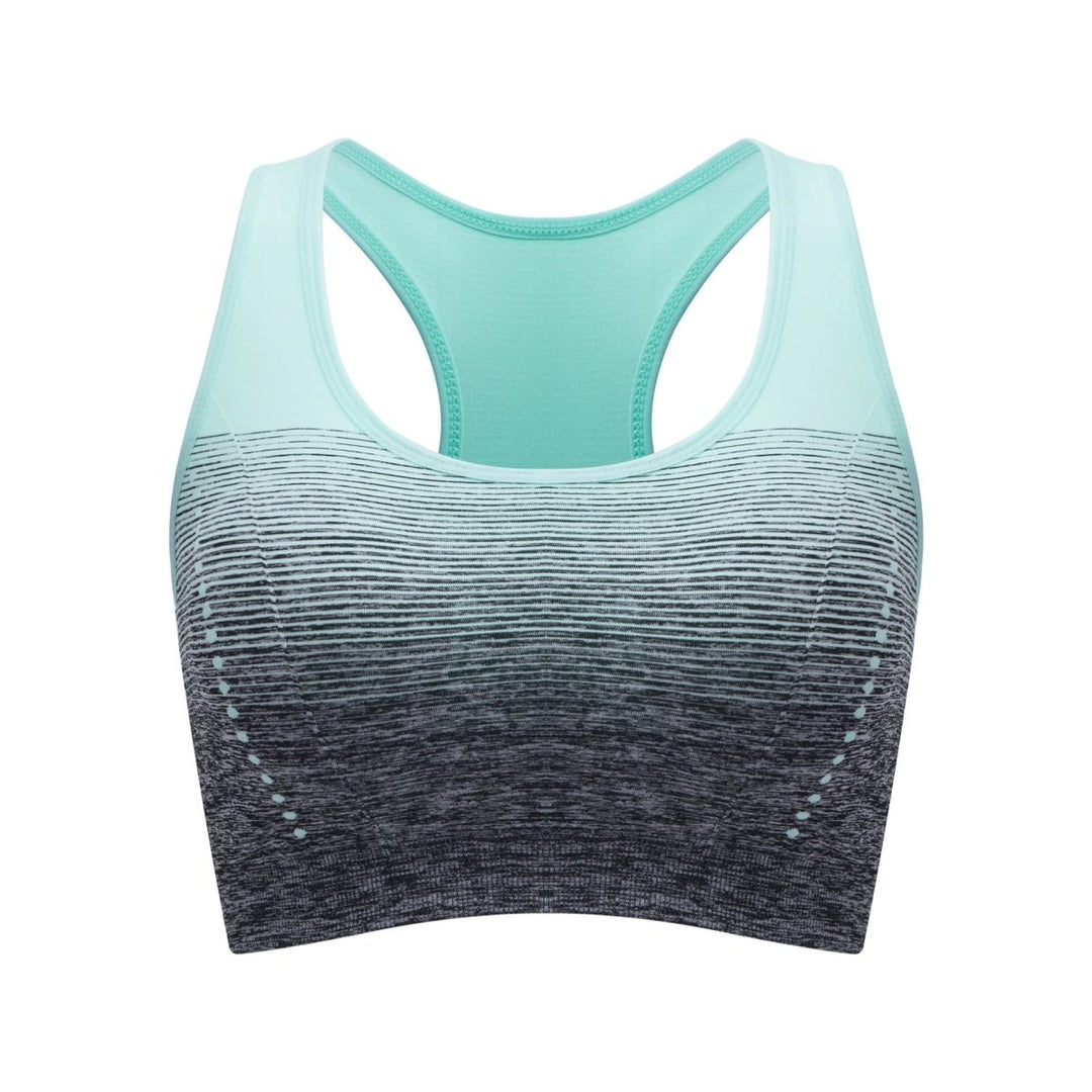 Seamless Flush Sport BH - Pulse Gym Wear