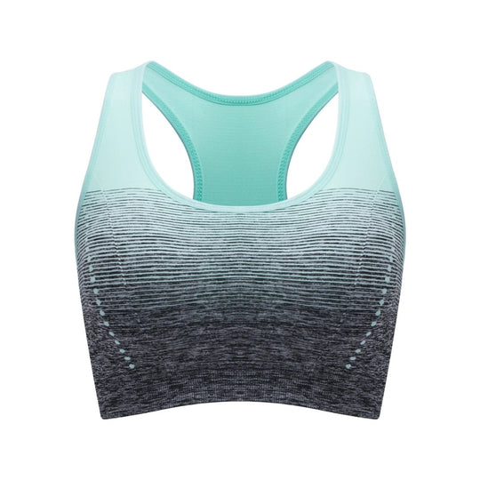 Seamless Flush Sport BH - Pulse Gym Wear