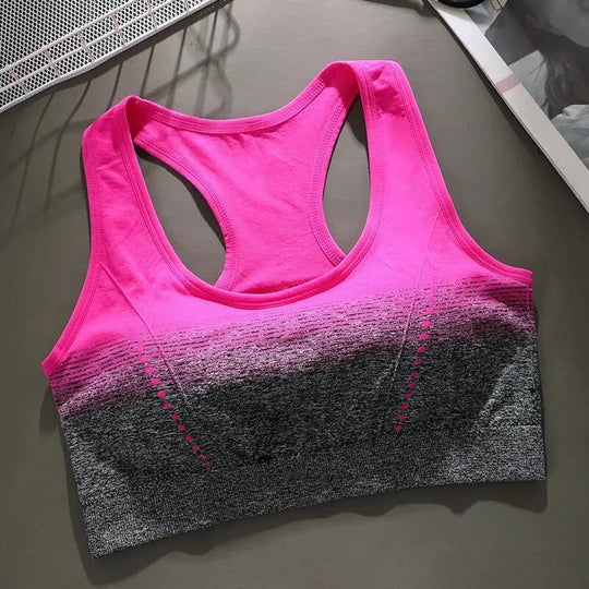 Seamless Flush Sport BH - Pulse Gym Wear